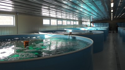 Универсальный рыбоводный модуль с системой оборотного водоснабжения «УРМ-1200»