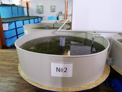 Круглый бассейн «БПК1000»