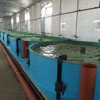 УЗВ по выращиванию форели